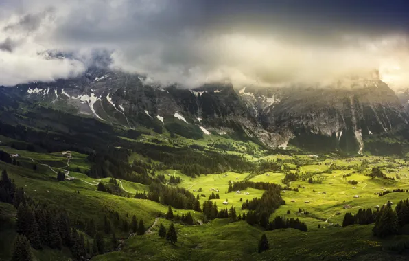 Картинка зелень, лето, облака, Швейцария, долина, в кантоне Берн, Гриндельвальд