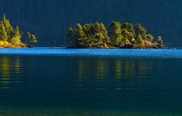 Картинка лес, вода, деревья, Канада, Canada, островок, Cowichan Lake, озеро Кауичан, Vancouver Island, остров Ванкувер