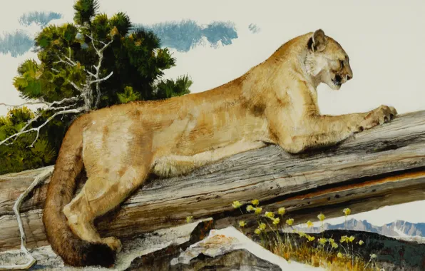Картинка кошка, деревья, камни, животное, картина, арт, когти, бревно, пума, дикая, Bob Kuhn