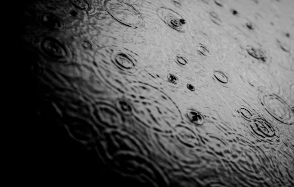 Картинка вода, капли, макро, фото, дождь, настроение, обои, ч/б