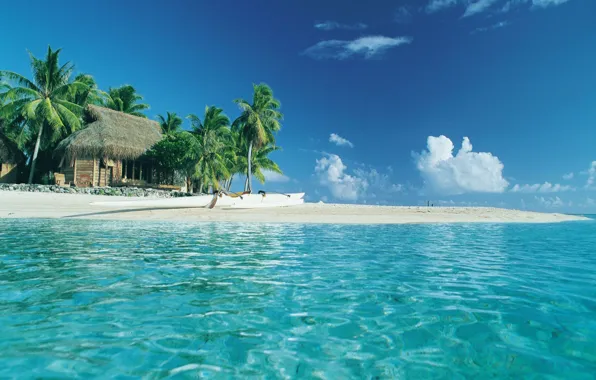 Картинка пляж, вода, прозрачность, пальмы, океан, домики, Tahiti, Pearl beach, Tikehau