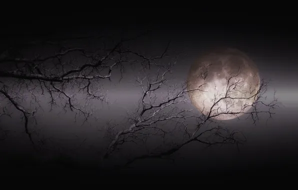 Картинка ночь, фон, луна