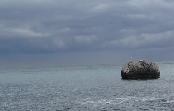 Картинка море, шторм, камень, чайка