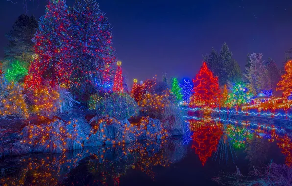 Картинка деревья, огни, праздник, Канада, Рождество, Ванкувер, ботанический сад, фестиваль огней, VanDusen Botanical Garden, плуд