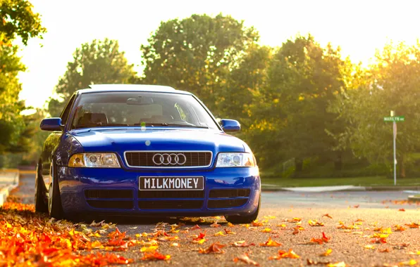 Картинка осень, Audi, ауди, листва, перед, синяя, blue