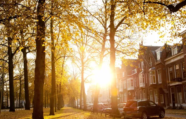 Картинка осень, солнце, город, улица, Sunny Autumn Afternoon In Utrecht