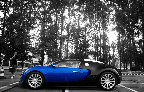Картинка цвета, Bugatti, контраст, Veyron