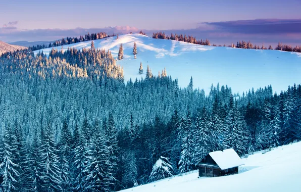 Картинка Природа, Зима, Горы, Снег, Лес, Ель, Пейзаж