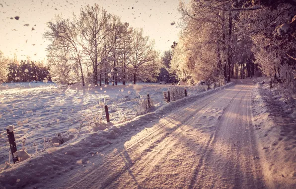 Картинка зима, дорога, лес, снег, деревья, пейзаж, природа