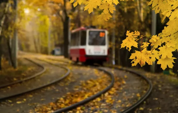Картинка осень, листья, москва, трамвай, клен