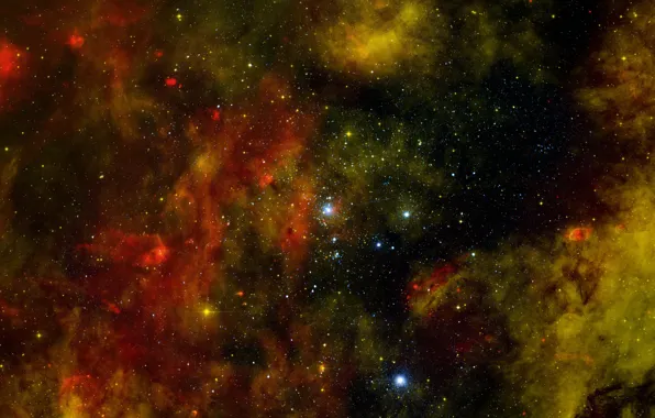 Картинка скопление, Cygnus OB2, Лебедь OB2
