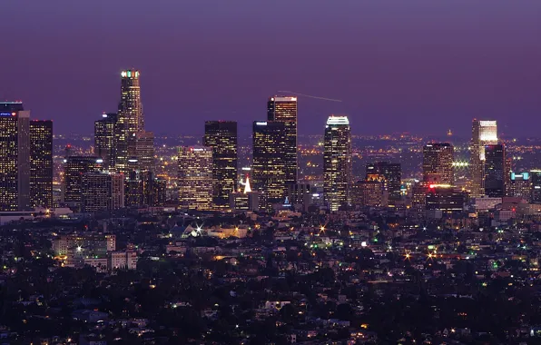 Картинка деревья, ночь, небоскребы, горизонт, Лос-Анджелес, Los Angeles, длинная экспозиция
