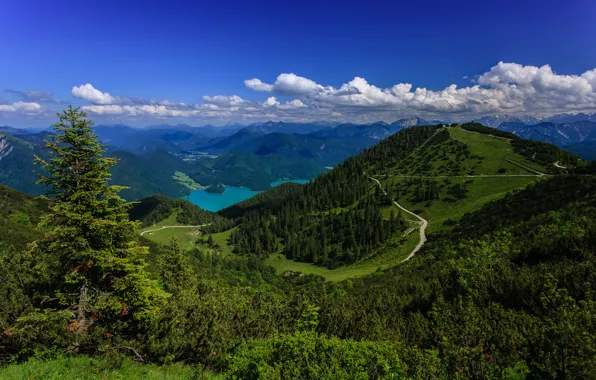 Картинка горы, озеро, Германия, панорама, леса, Germany, Bavarian Alps, Баварские Альпы