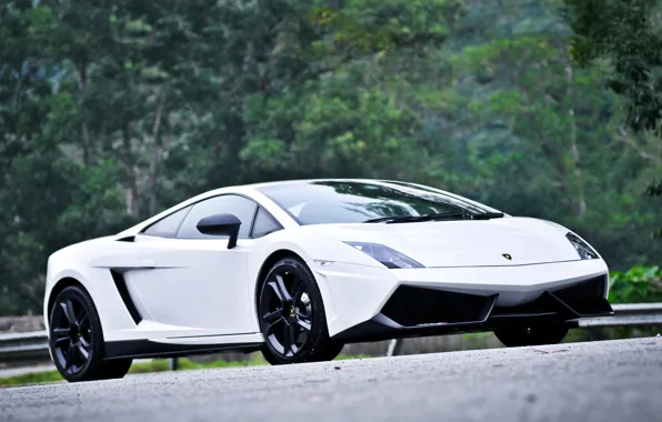 Картинка белый, вид спереди, ламборгини, галлардо, Lamborghini Gallardo LP550-2 &quot;MLE&quot;