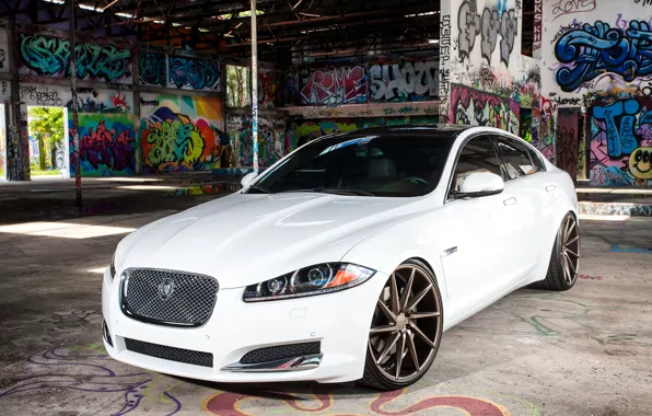 Картинка Jaguar, White, Graffity