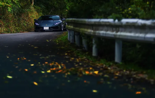 Картинка дорога, осень, лес, Lamborghini Huracán