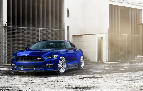 Картинка car, Ford Mustang, blue, William Stern
