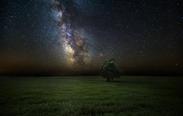 Картинка поле, небо, звезды, ночь, дерево, млечный путь