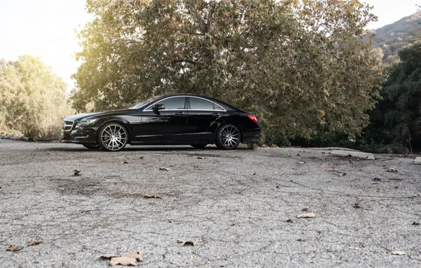 Картинка черный, side, black, Mercedes Benz, мерседес, CLS550