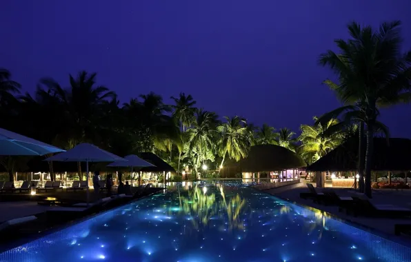 Картинка ночь, пальмы, бассейн, курорт