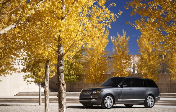 Картинка осень, парковка, Range Rover