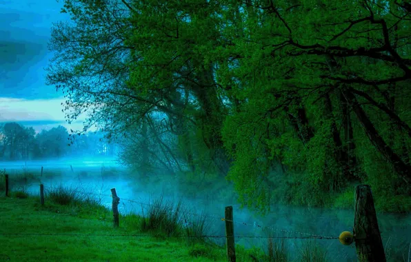 Картинка лес, туман, река, мистика, красиво, сумерки
