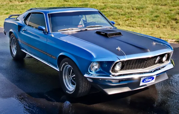 Картинка синий, газон, Mustang, Ford, Форд, 1969, Мустанг, мускул кар, классика, передок, Muscle car, Mach 1