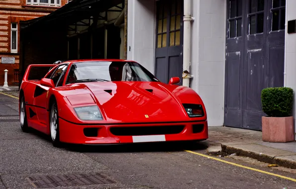 Картинка Ferrari, red, F40, феррари, ф40