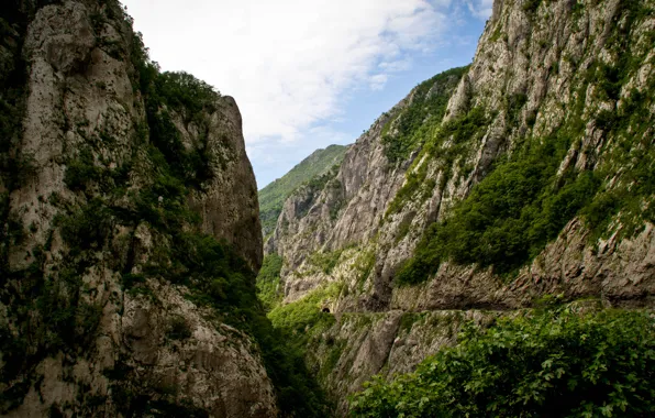 Картинка горы, природа, красиво, каньон, Черногория, Montenegro, река Тара