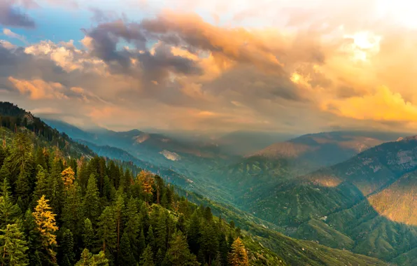 Картинка лес, облака, горы, Калифорния, панорама, США, Kings Canyon National Park