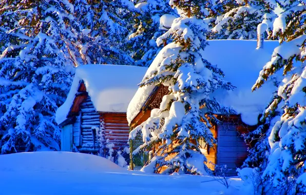 Картинка зима, снег, природа, фото, дома, ель