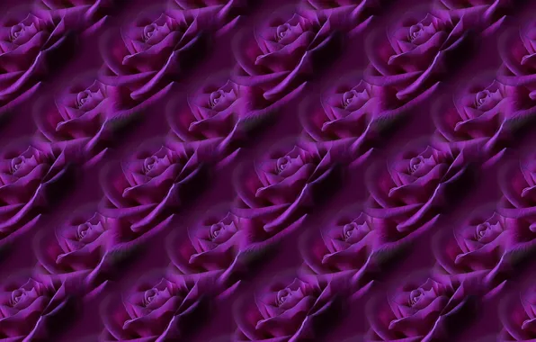 Картинка цветок, фон, роза, текстура