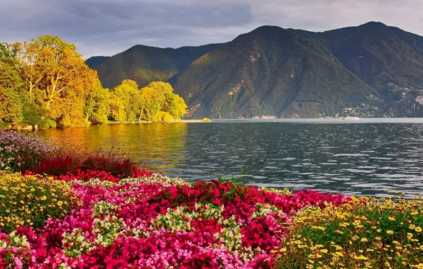 Картинка пейзаж, цветы, горы, природа, озеро, фото