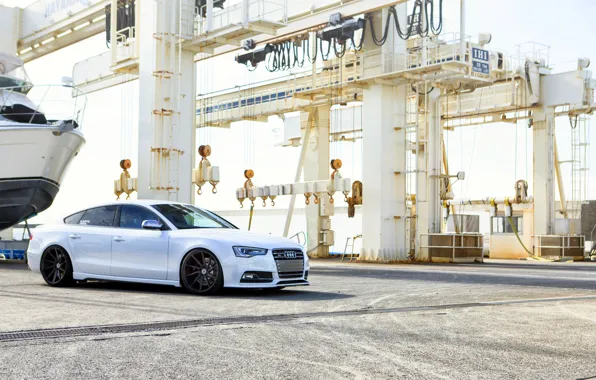 Картинка Audi, white, wheels