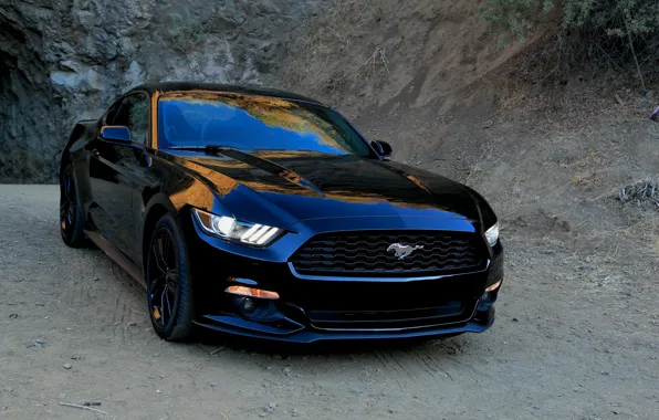 Картинка Mustang, Ford, 2015