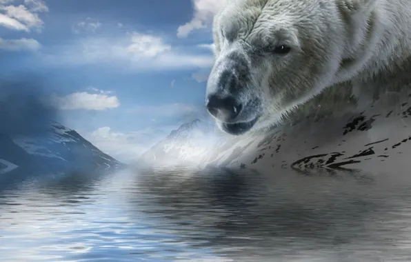 Картинка вода, облака, горы, белый медведь