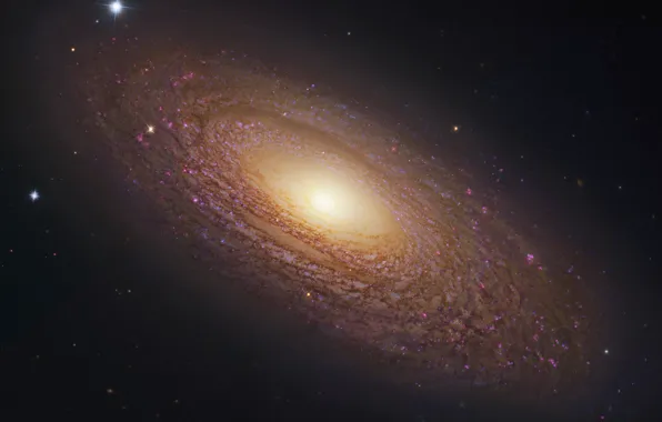 Картинка космос, звезды, галактика, NGS 2841