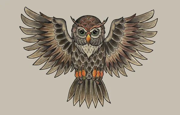 Картинка сова, птица, живопись, светлый фон, owl