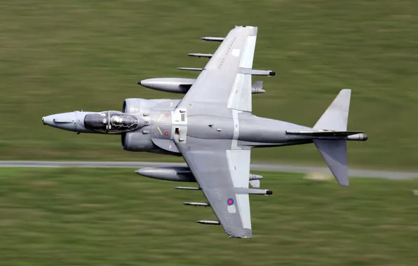 Картинка полет, самолет, низко, Harrier