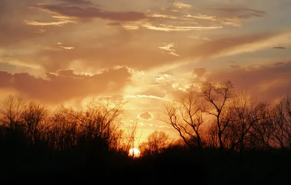 Картинка солнце, облака, деревья, закат