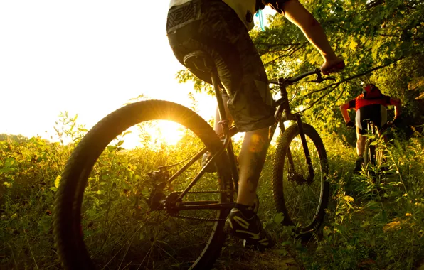 Картинка legs, bike, sunrise, cycling