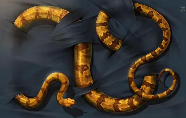 Картинка фон, змея, чешуя, ткань