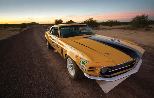 Картинка Mustang, Ford, Boss 302, Race, 1970, Legend, Muscle car, TransAm