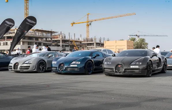 Картинка Bugatti, Veyron, Mansory, Grand Sport, Vitesse, Linea Vincero D'Oro