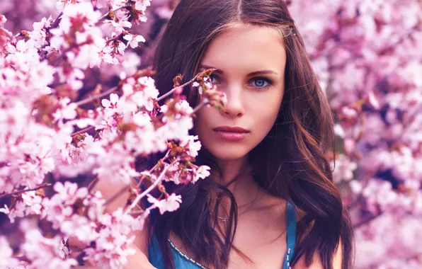 Картинка девушка, цветы, природа, весна, макияж, сакура