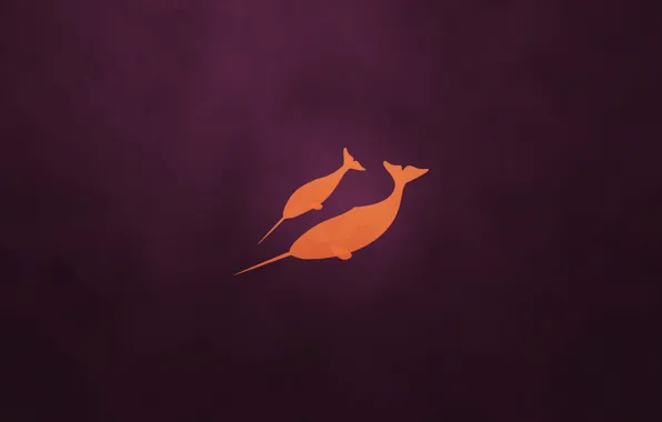 Картинка ubuntu, natty, narwhal