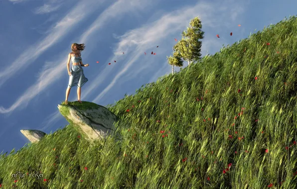 Картинка трава, девушка, природа, скала, ветер, камень, маки, лепестки, холм, арт, косогор