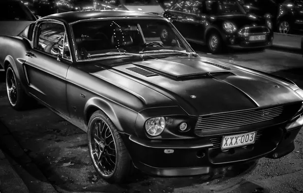 Картинка Mustang, Ford, Форд, 1969, Мустанг