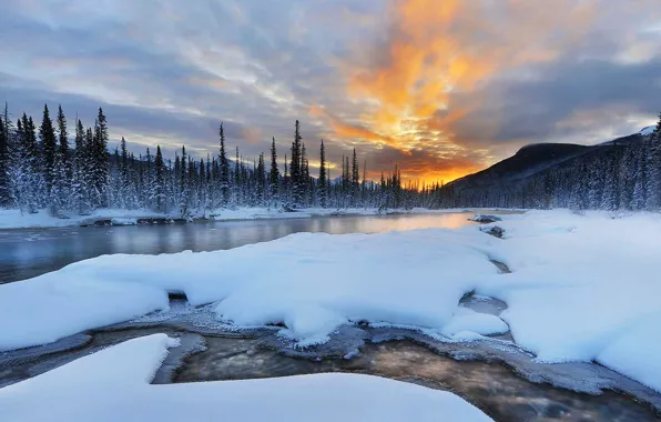 Картинка зима, снег, деревья, горы, река, Канада, Альберта, Banff national park