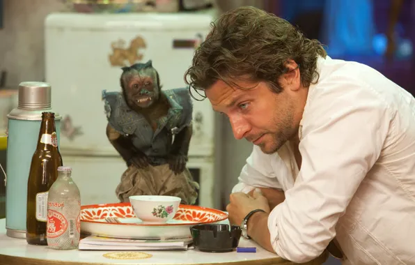 Картинка Bradley Cooper, The Hangover, Phil, Drug Dealing Monkey